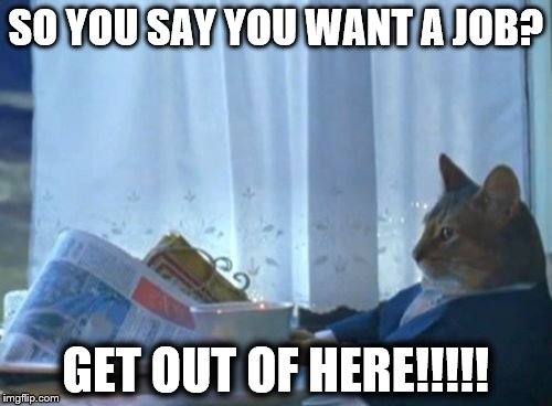 I Should Buy A Boat Cat | SO YOU SAY YOU WANT A JOB? GET OUT OF HERE!!!!! | image tagged in memes,i should buy a boat cat | made w/ Imgflip meme maker
