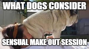 WHAT DOGS CONSIDER SENSUAL MAKE OUT SESSION | made w/ Imgflip meme maker