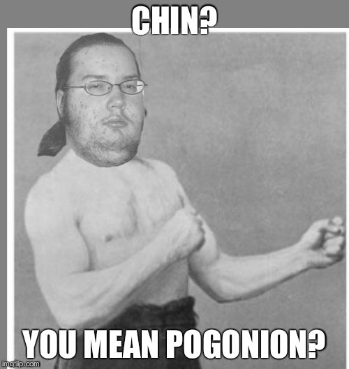 Overly nerdy nerd | CHIN? YOU MEAN POGONION? | image tagged in overly nerdy nerd | made w/ Imgflip meme maker