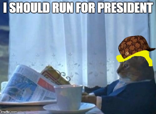 I Should Buy A Boat Cat | I SHOULD RUN FOR PRESIDENT | image tagged in memes,i should buy a boat cat,scumbag | made w/ Imgflip meme maker