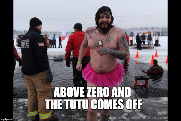 late upvote fairy | ABOVE ZERO AND THE TUTU COMES OFF | image tagged in late upvote fairy | made w/ Imgflip meme maker