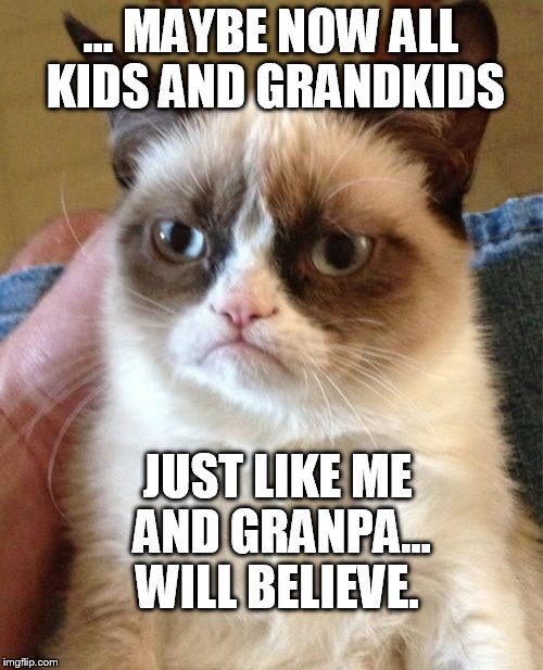 Grumpy Cat Meme | ... MAYBE NOW ALL KIDS AND GRANDKIDS JUST LIKE ME AND GRANPA... WILL BELIEVE. | image tagged in memes,grumpy cat | made w/ Imgflip meme maker