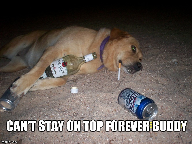 CAN'T STAY ON TOP FOREVER BUDDY | made w/ Imgflip meme maker