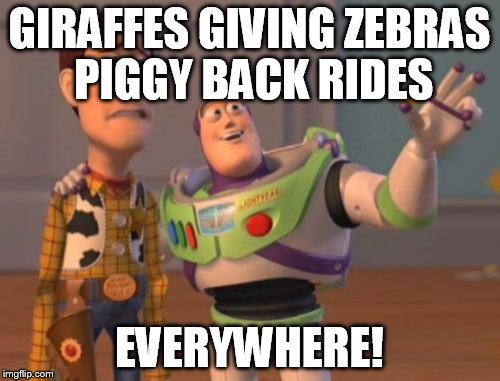X, X Everywhere Meme | GIRAFFES GIVING ZEBRAS PIGGY BACK RIDES EVERYWHERE! | image tagged in memes,x x everywhere | made w/ Imgflip meme maker