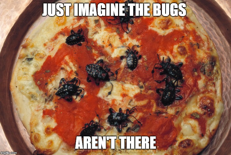 pizza bug | JUST IMAGINE THE BUGS AREN'T THERE | image tagged in pizza bug | made w/ Imgflip meme maker