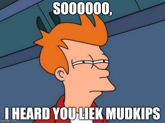 Futurama Fry Meme | SOOOOOO, I HEARD YOU LIEK MUDKIPS | image tagged in memes,futurama fry | made w/ Imgflip meme maker