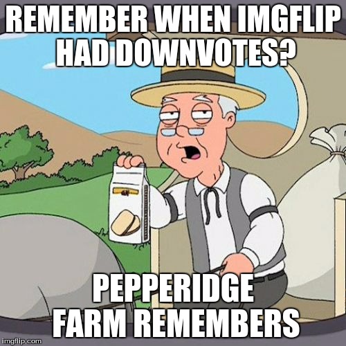 Pepperidge Farm Remembers | REMEMBER WHEN IMGFLIP HAD DOWNVOTES? PEPPERIDGE FARM REMEMBERS | image tagged in memes,pepperidge farm remembers | made w/ Imgflip meme maker