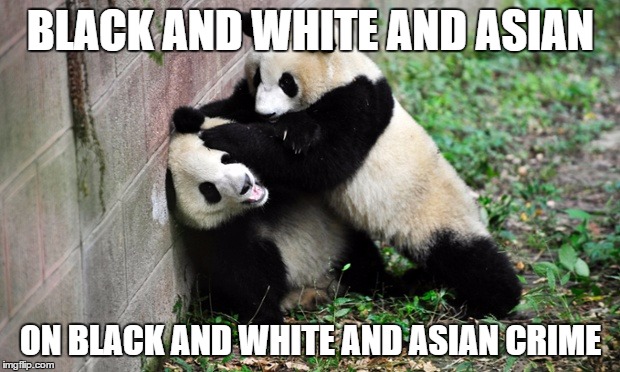 panda fight | BLACK AND WHITE AND ASIAN ON BLACK AND WHITE AND ASIAN CRIME | image tagged in panda fight | made w/ Imgflip meme maker