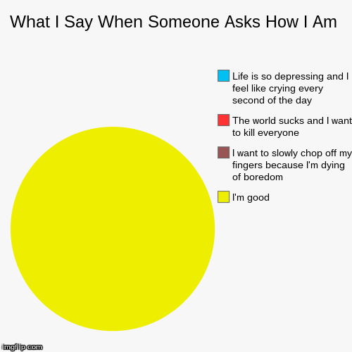 When Someone Asks How I Am | image tagged in funny,pie charts | made w/ Imgflip chart maker