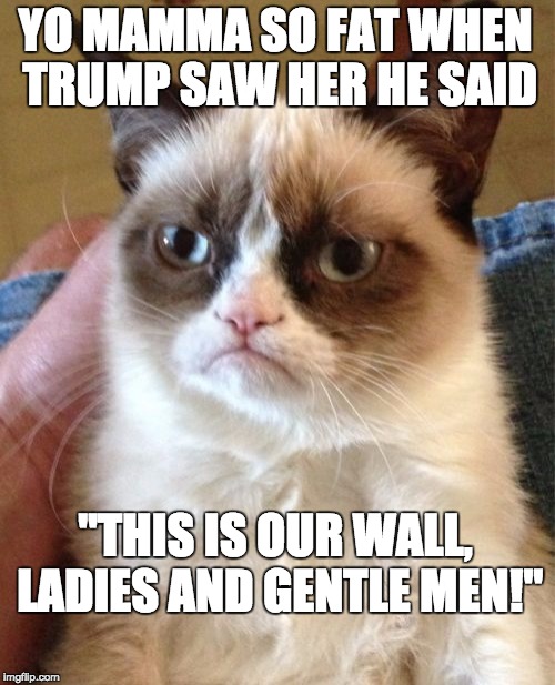 Grumpy Cat | YO MAMMA SO FAT
WHEN TRUMP SAW HER HE SAID "THIS IS OUR WALL, LADIES AND GENTLE MEN!" | image tagged in memes,grumpy cat | made w/ Imgflip meme maker