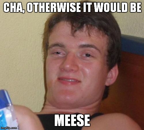 10 Guy Meme | CHA, OTHERWISE IT WOULD BE MEESE | image tagged in memes,10 guy | made w/ Imgflip meme maker