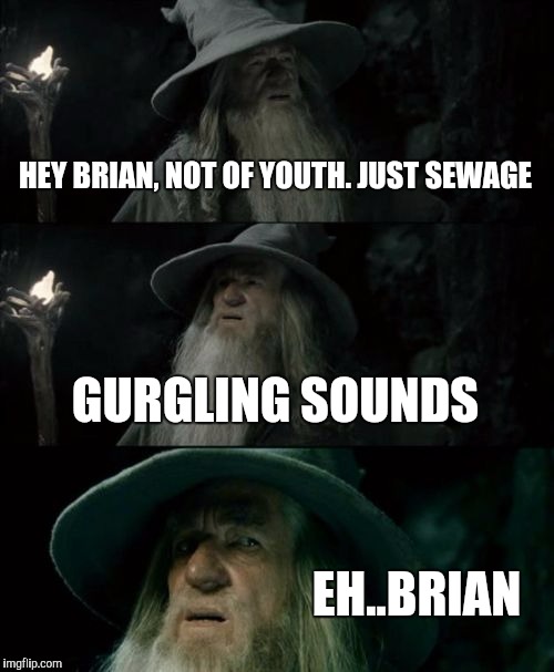 Confused Gandalf Meme | HEY BRIAN, NOT OF YOUTH. JUST SEWAGE GURGLING SOUNDS EH..BRIAN | image tagged in memes,confused gandalf | made w/ Imgflip meme maker