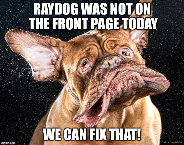 Get rayyyydogggg to the front page again! | RAYDOG WAS NOT ON THE FRONT PAGE TODAY WE CAN FIX THAT! | image tagged in raydog | made w/ Imgflip meme maker