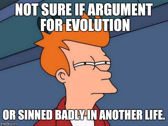 Futurama Fry Meme | NOT SURE IF ARGUMENT FOR EVOLUTION OR SINNED BADLY IN ANOTHER LIFE. | image tagged in memes,futurama fry | made w/ Imgflip meme maker
