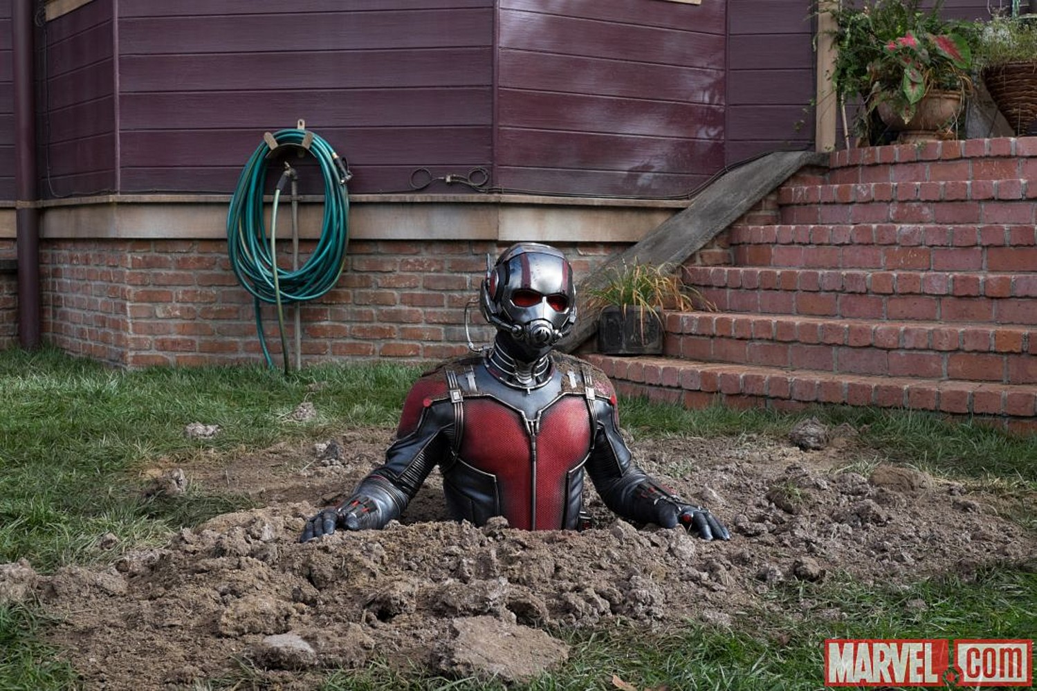 Antman steel Blank Meme Template