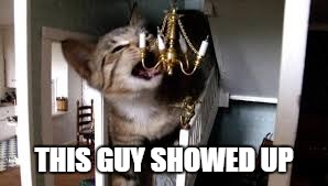 THIS GUY SHOWED UP | image tagged in ohhh no cat | made w/ Imgflip meme maker