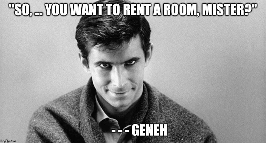 "SO, ... YOU WANT TO RENT A ROOM, MISTER?" - - - GENEH | image tagged in geneh | made w/ Imgflip meme maker