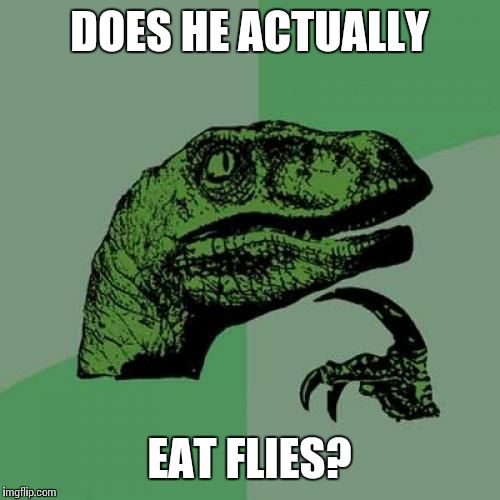 Philosoraptor Meme | DOES HE ACTUALLY EAT FLIES? | image tagged in memes,philosoraptor | made w/ Imgflip meme maker