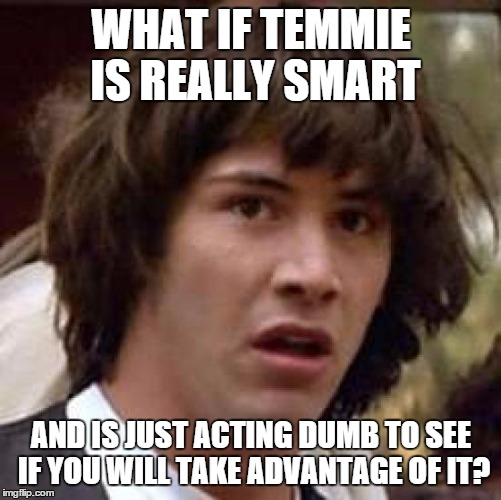 Temmie | WHAT IF TEMMIE IS REALLY SMART AND IS JUST ACTING DUMB TO SEE IF YOU WILL TAKE ADVANTAGE OF IT? | image tagged in memes,conspiracy keanu,undertale | made w/ Imgflip meme maker
