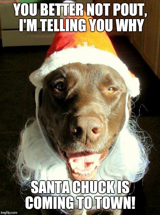 Santa Dog | YOU BETTER NOT POUT,  I'M TELLING YOU WHY SANTA CHUCK IS COMING TO TOWN! | image tagged in chuckie the chocolate lab,santa,dog,funny meme,christmas is coming | made w/ Imgflip meme maker