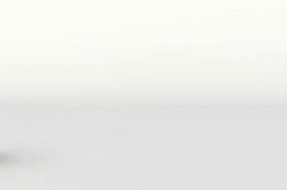 uztt.gif