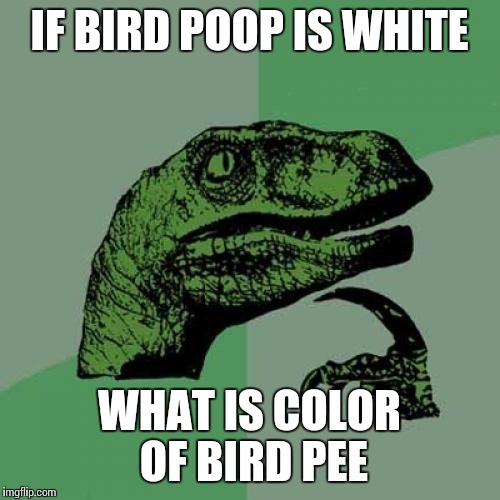 Philosoraptor | IF BIRD POOP IS WHITE WHAT IS COLOR OF BIRD PEE | image tagged in memes,philosoraptor | made w/ Imgflip meme maker