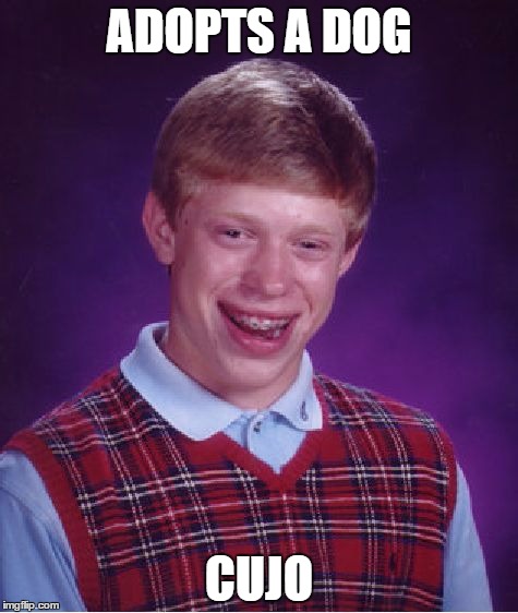 Bad Luck Brian | ADOPTS A DOG CUJO | image tagged in memes,bad luck brian | made w/ Imgflip meme maker