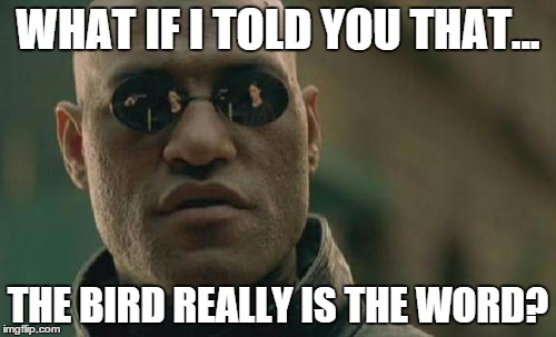 Matrix Morpheus | WHAT IF I TOLD YOU THAT... THE BIRD REALLY IS THE WORD? | image tagged in memes,matrix morpheus | made w/ Imgflip meme maker
