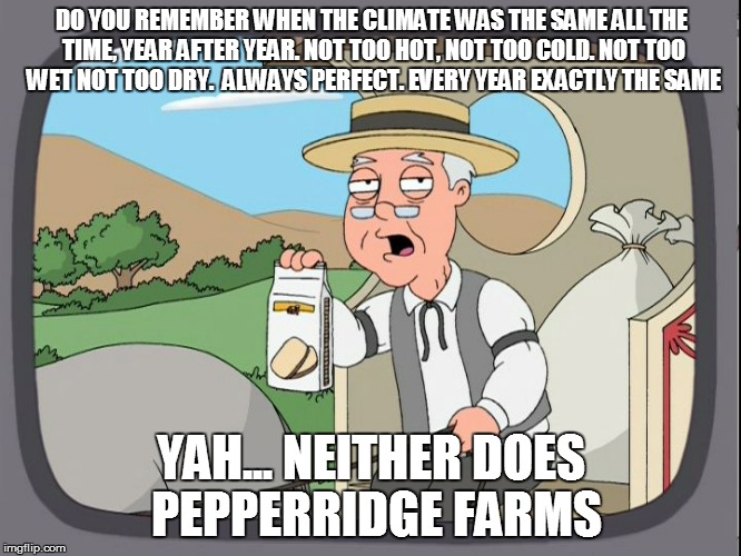 Pepperridge Farm | DO YOU REMEMBER WHEN THE CLIMATE WAS THE SAME ALL THE TIME, YEAR AFTER YEAR. NOT TOO HOT, NOT TOO COLD. NOT TOO WET NOT TOO DRY.  ALWAYS PER | image tagged in pepperridge farm | made w/ Imgflip meme maker