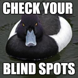 Angry Advice Mallard | CHECK YOUR BLIND SPOTS | image tagged in angry advice mallard,AdviceAnimals | made w/ Imgflip meme maker