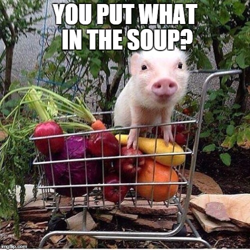 baby pig please do not eat bacon | YOU PUT WHAT IN THE SOUP? | image tagged in baby pig please do not eat bacon | made w/ Imgflip meme maker