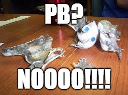 PB? NOOOO!!!! | image tagged in pillsbury doughboy exploded | made w/ Imgflip meme maker