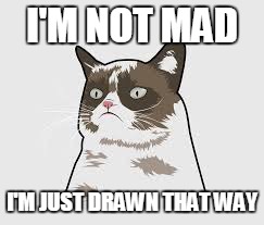 I'M NOT MAD I'M JUST DRAWN THAT WAY | made w/ Imgflip meme maker