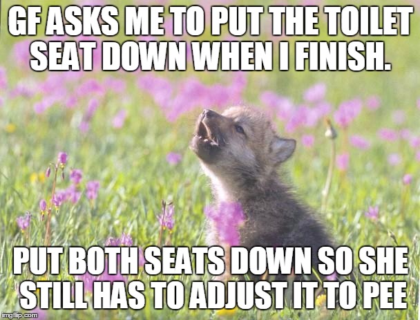 Baby Insanity Wolf Meme | GF ASKS ME TO PUT THE TOILET SEAT DOWN WHEN I FINISH. PUT BOTH SEATS DOWN SO SHE STILL HAS TO ADJUST IT TO PEE | image tagged in memes,baby insanity wolf,AdviceAnimals | made w/ Imgflip meme maker