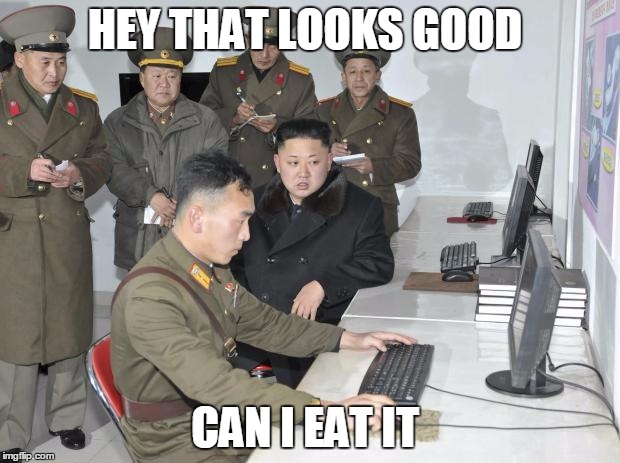 North Korean Computer | HEY THAT LOOKS GOOD CAN I EAT IT | image tagged in north korean computer | made w/ Imgflip meme maker