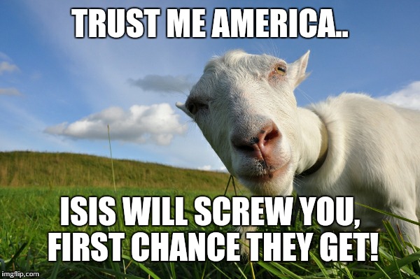 Trying to be mod est | TRUST ME AMERICA.. ISIS WILL SCREW YOU, FIRST CHANCE THEY GET! | image tagged in goat,isis,love | made w/ Imgflip meme maker