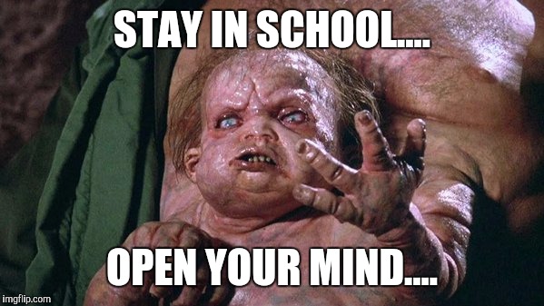 Quato | STAY IN SCHOOL.... OPEN YOUR MIND.... | image tagged in quato,stay in school | made w/ Imgflip meme maker