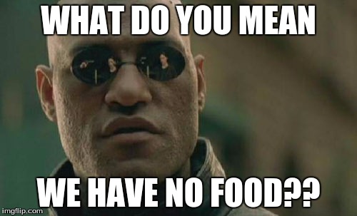 Matrix Morpheus Meme | WHAT DO YOU MEAN WE HAVE NO FOOD?? | image tagged in memes,matrix morpheus | made w/ Imgflip meme maker