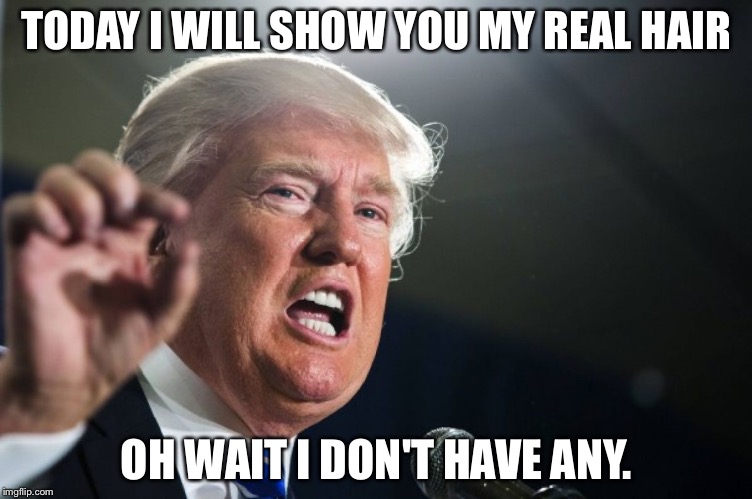 donald trump | TODAY I WILL SHOW YOU MY REAL HAIR OH WAIT
I DON'T HAVE ANY. | image tagged in donald trump | made w/ Imgflip meme maker