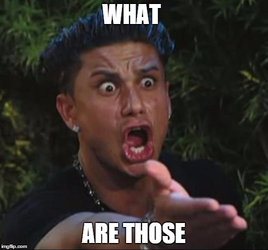 DJ Pauly D | WHAT ARE THOSE | image tagged in memes,dj pauly d | made w/ Imgflip meme maker