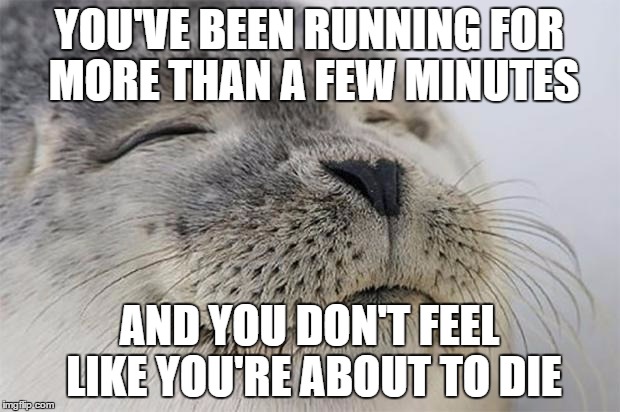 Satisfied Seal Meme | YOU'VE BEEN RUNNING FOR MORE THAN A FEW MINUTES AND YOU DON'T FEEL LIKE YOU'RE ABOUT TO DIE | image tagged in memes,satisfied seal,TrollXFitness | made w/ Imgflip meme maker