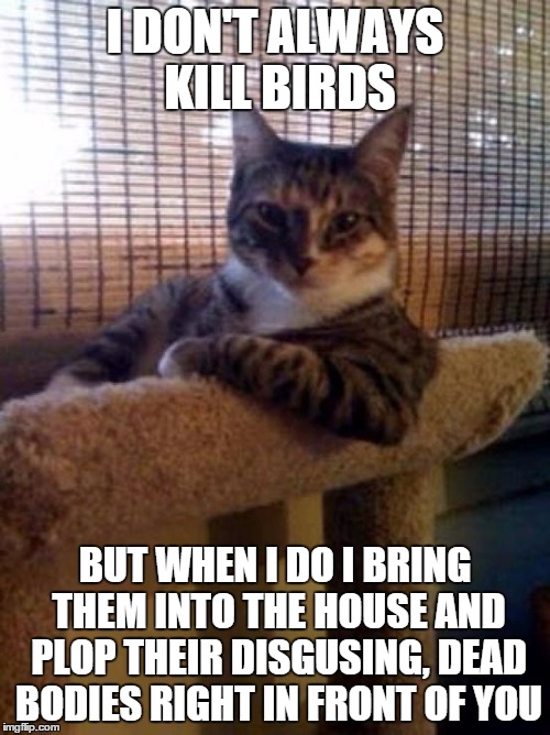 The Most Interesting Cat In The World | I DON'T ALWAYS KILL BIRDS BUT WHEN I DO I BRING THEM INTO THE HOUSE AND PLOP THEIR DISGUSING, DEAD BODIES RIGHT IN FRONT OF YOU | image tagged in memes,the most interesting cat in the world | made w/ Imgflip meme maker