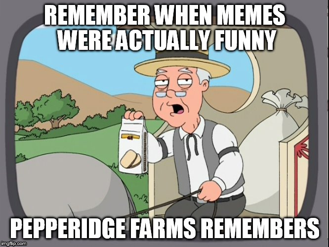 REMEMBER WHEN MEMES WERE ACTUALLY FUNNY PEPPERIDGE FARMS REMEMBERS | image tagged in pepperridgefarmsremembers | made w/ Imgflip meme maker