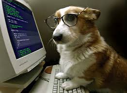 coding k9 Blank Meme Template