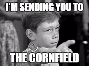 Sending You to the Cornfield | I'M SENDING YOU TO THE CORNFIELD | image tagged in sending you to the cornfield,twilight zone,billy mumy,memes | made w/ Imgflip meme maker