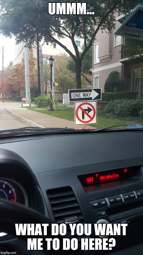 Clear as mud | UMMM... WHAT DO YOU WANT ME TO DO HERE? | image tagged in meme,driving,wtf sign | made w/ Imgflip meme maker