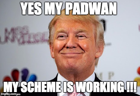 Donald trump approves | YES MY PADWAN MY SCHEME IS WORKING !!! | image tagged in donald trump approves | made w/ Imgflip meme maker