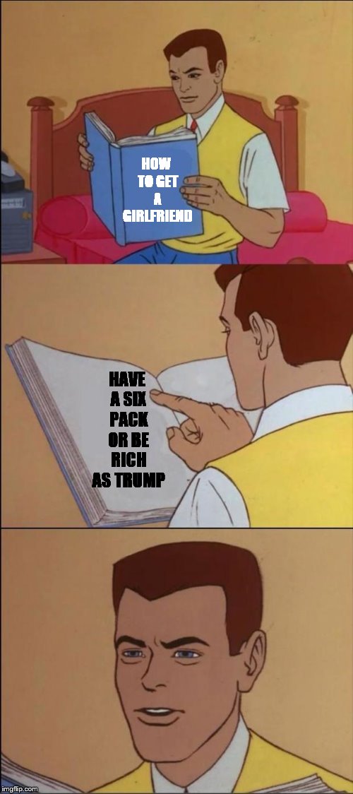 In a NUTSHELL. | HOW TO GET A GIRLFRIEND HAVE A SIX PACK OR BE RICH AS TRUMP | image tagged in memes,the book of faggets | made w/ Imgflip meme maker