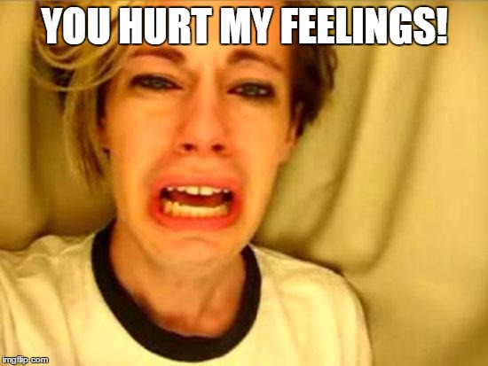 Leave Britney Alone | YOU HURT MY FEELINGS! | image tagged in leave britney alone | made w/ Imgflip meme maker