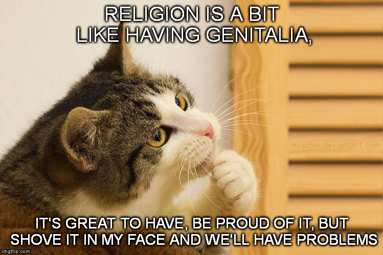 Thoughtful Cat | RELIGION IS A BIT LIKE HAVING GENITALIA, IT'S GREAT TO HAVE, BE PROUD OF IT, BUT SHOVE IT IN MY FACE AND WE'LL HAVE PROBLEMS | image tagged in cat,thoughtful,religion,genitalia | made w/ Imgflip meme maker